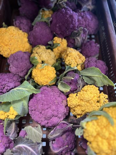 Choux fleurs 